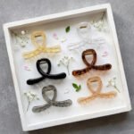 Arc Crescent Claw Clip