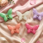 Acrylic Butterfly Claw Clips
